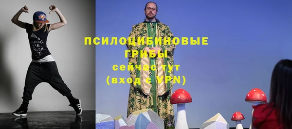 Альфа ПВП Абаза