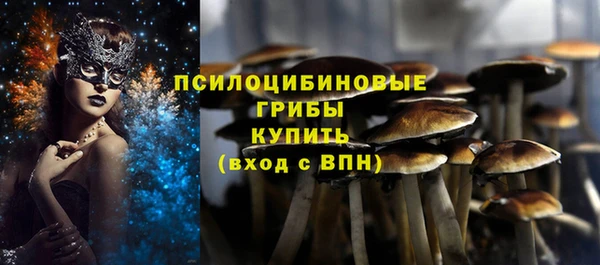 Альфа ПВП Абаза